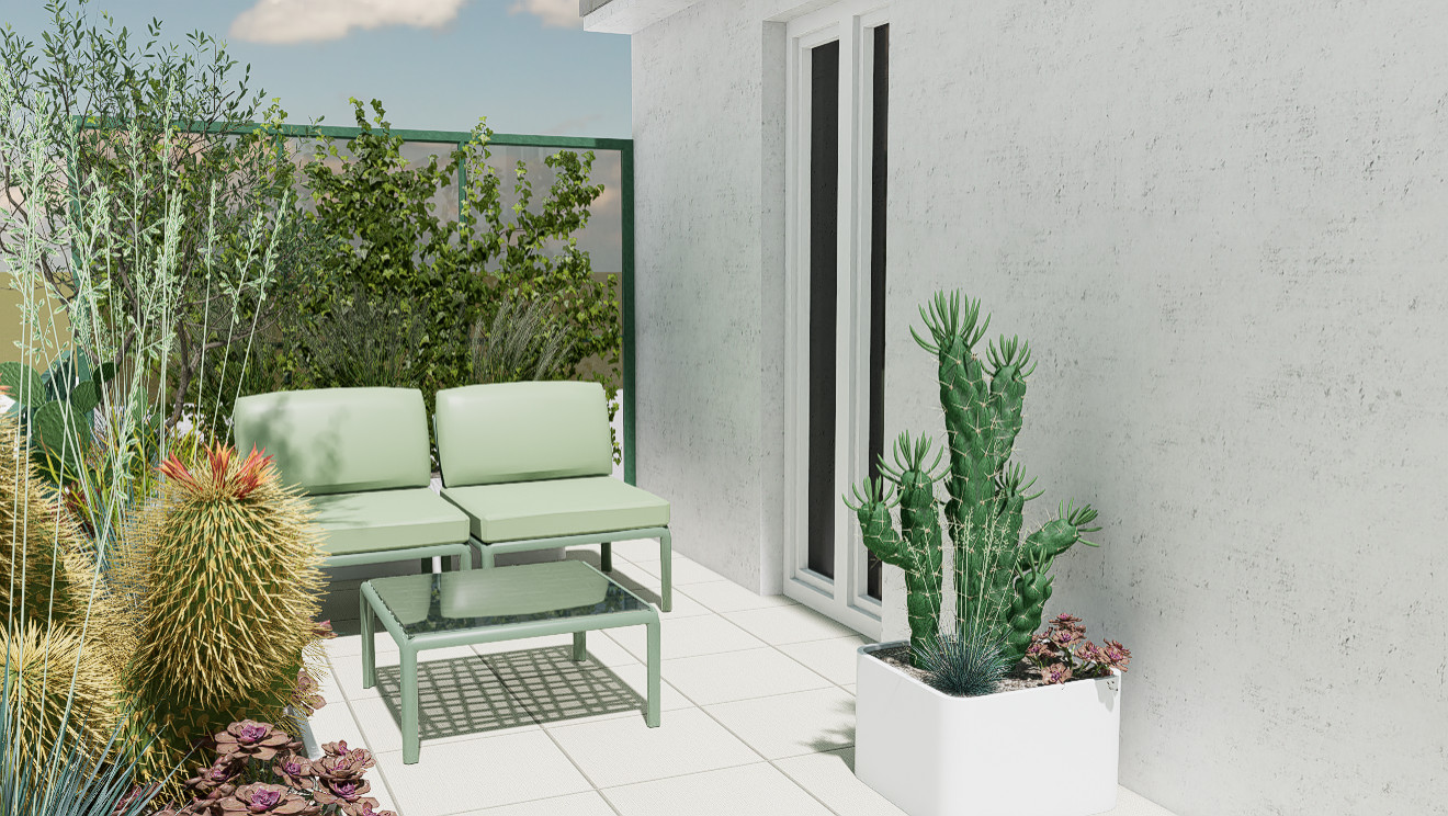 Urban succulents: suggestioni desertiche