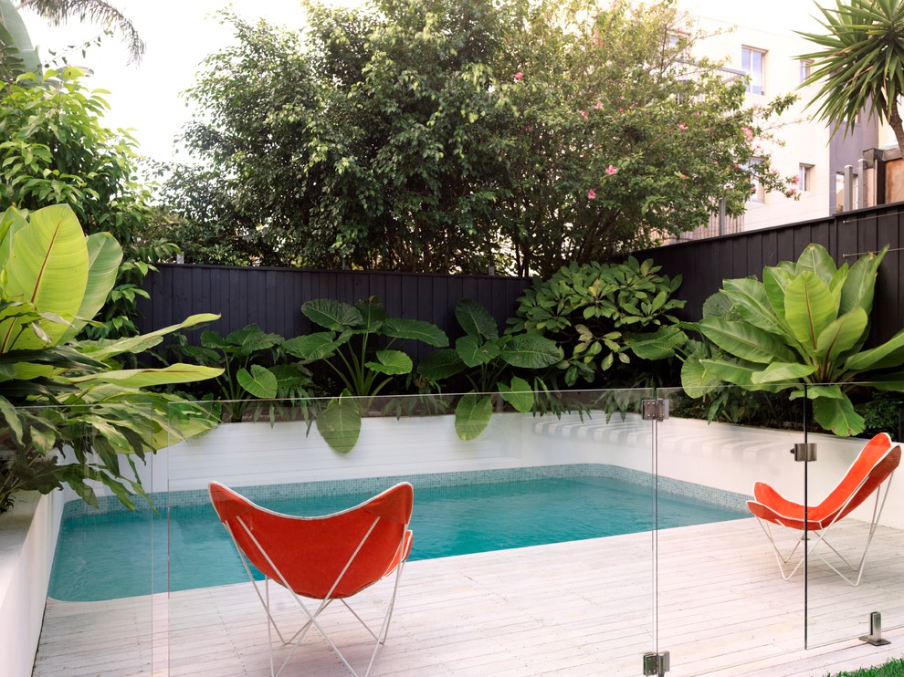 Design ideas for a small contemporary backyard rectangular pool in Sydney.