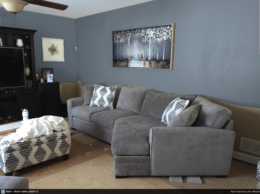Wall Colors with gray couch??