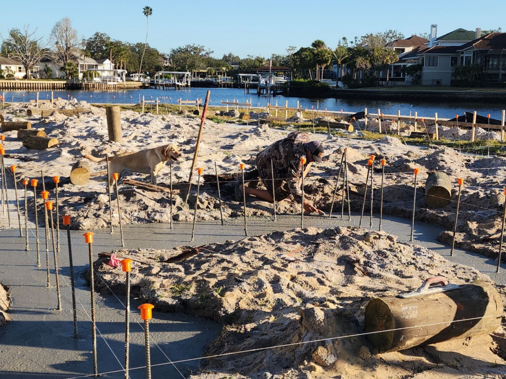 Tarpon Springs Project 2024-2025