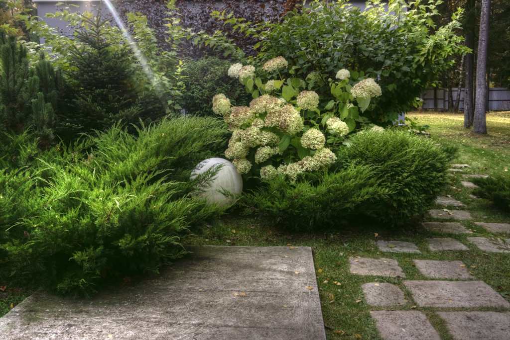 гравитация