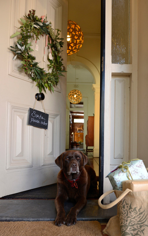 Holiday Decorating: Celebrating an Australian Christmas outdoors