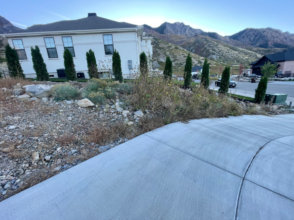 Alpine Landscape Build