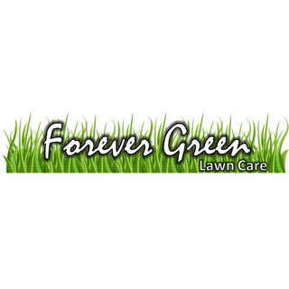 FOREVER GREEN LAWN CARE Project Photos Reviews St. John IN