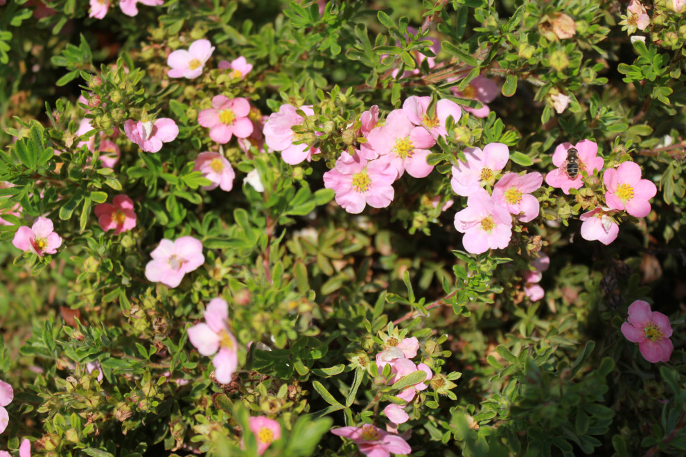 В гостях у Сказки