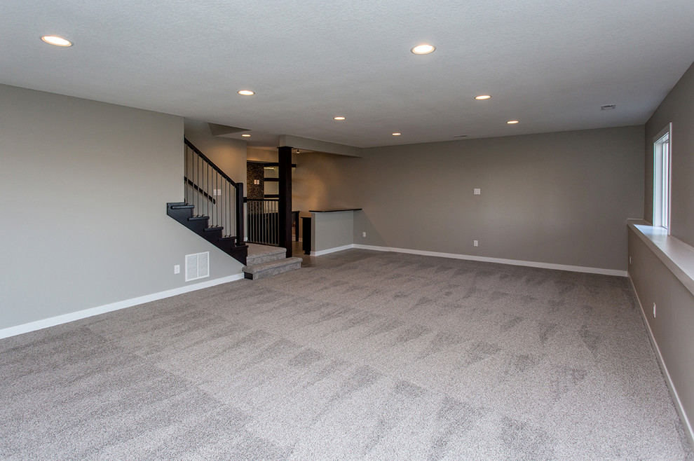 Basement - transitional basement idea