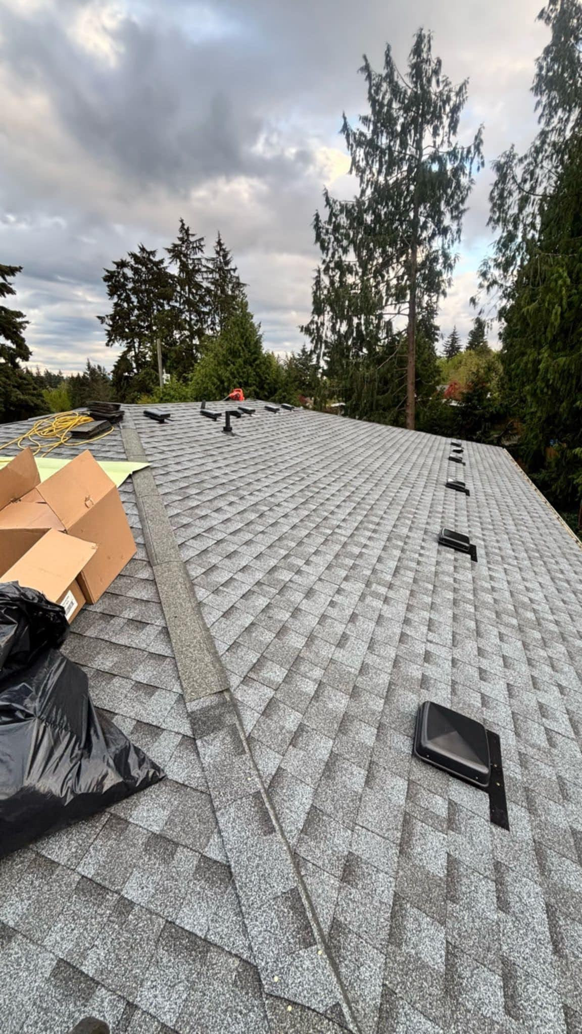 Roof Replacement