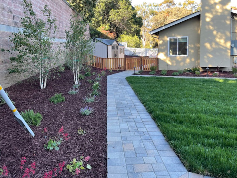 Los Gatos - Traditional Backyard