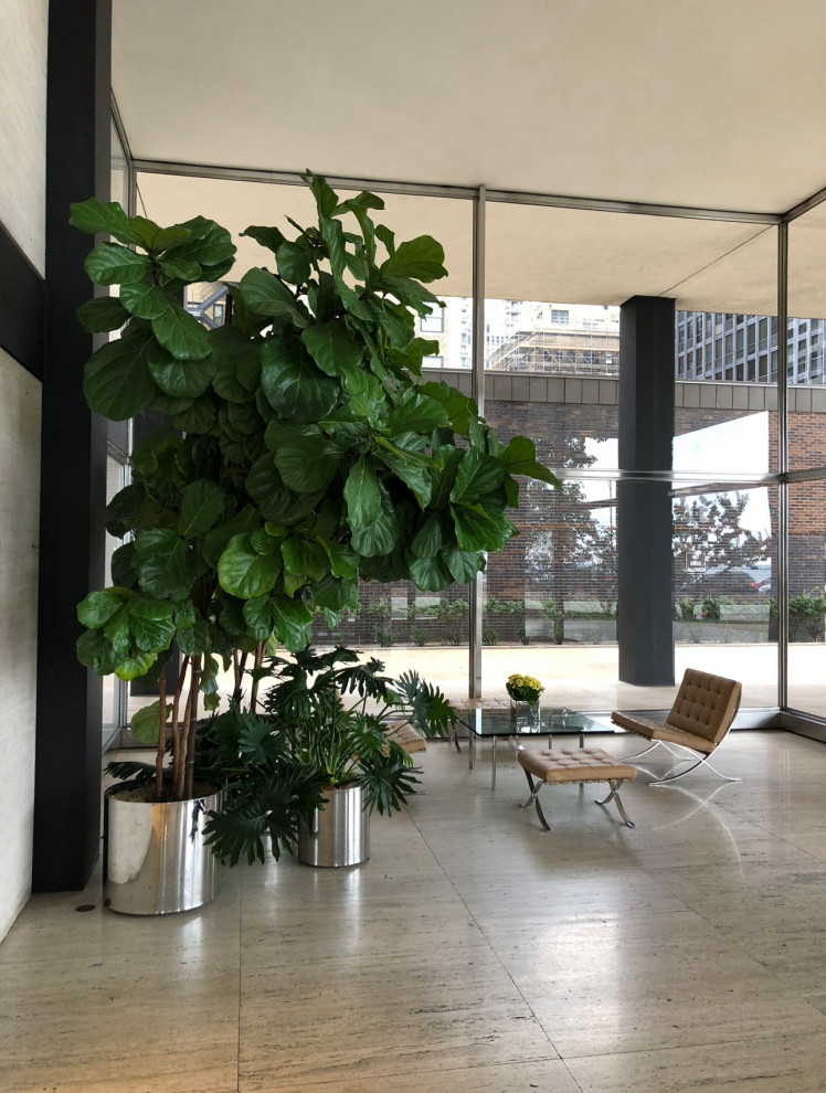 Mies von der Rohe furniture adorns the entry lobby