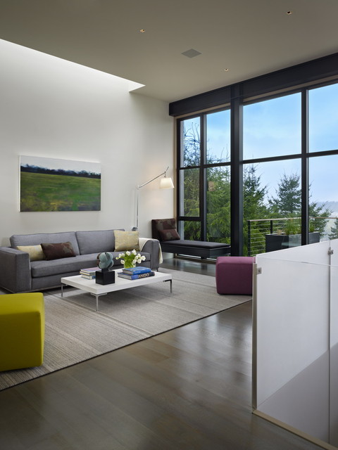 Hillside Modern modern-vardagsrum