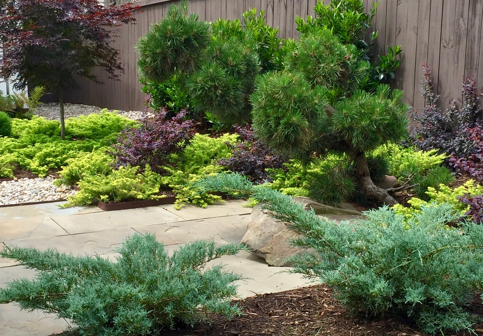 Photo of a contemporary garden in Charlotte.