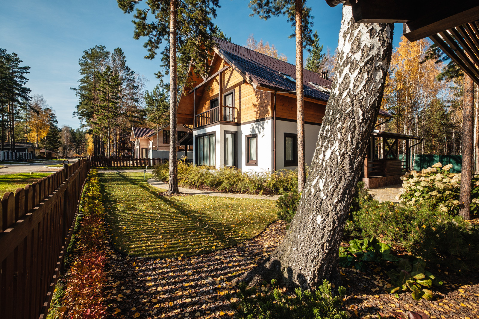 У леса на опушке