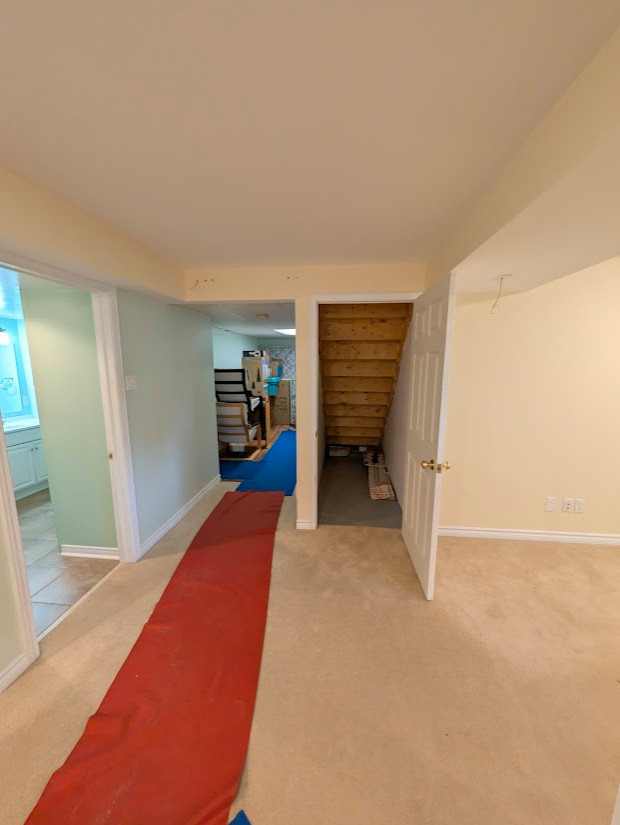 Basement Design+Build - Painting