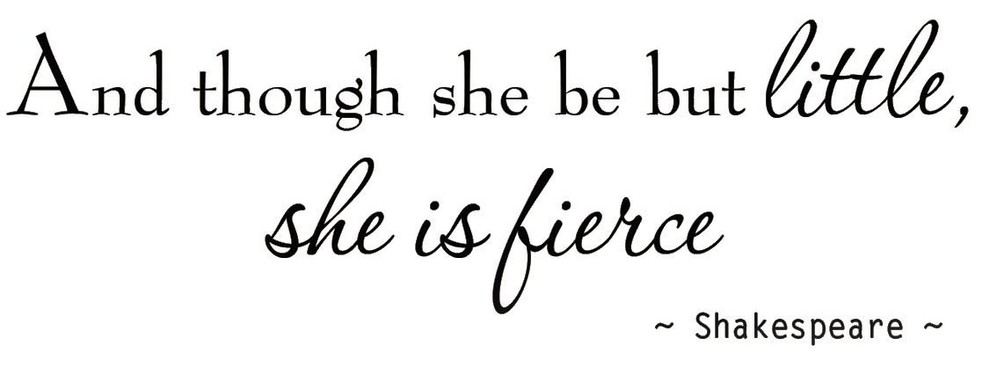 VWAQ And Though She Be But Little She is Fierce Nursery Wall Decals Room Decor