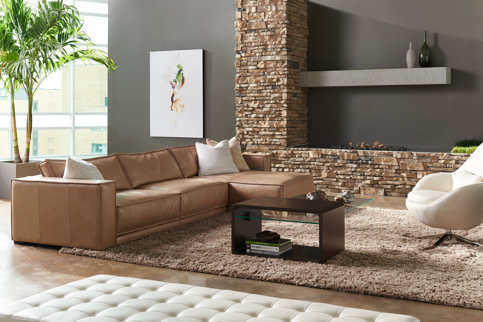 Home design - contemporary home design idea in Dallas