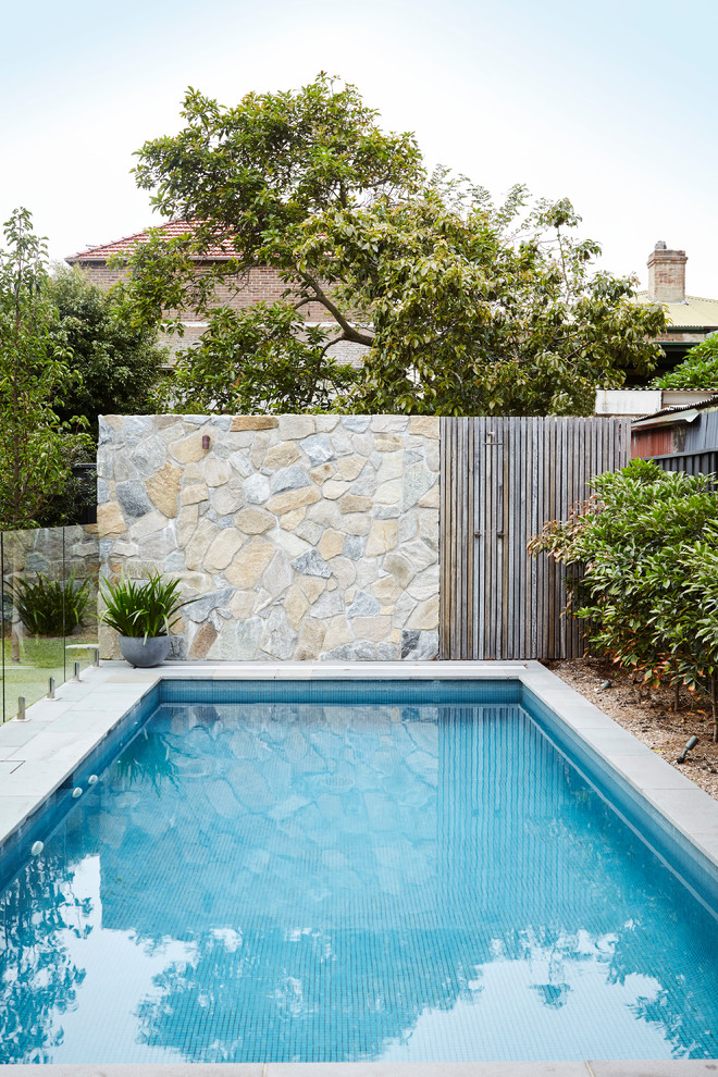 Randwick Modern Pool Sydney by Harrison's Landscaping Houzz AU