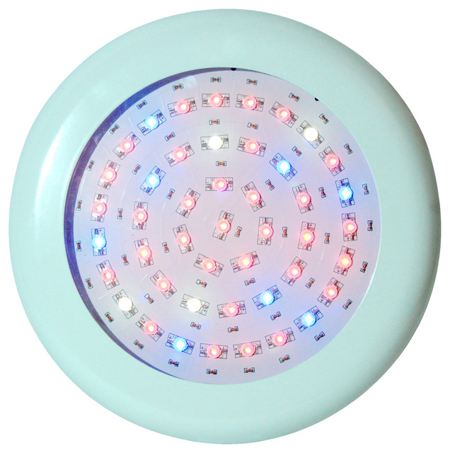 pool water is blue not clear