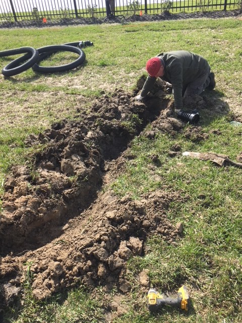 Drain spouts Tied into French Drains Irrigation