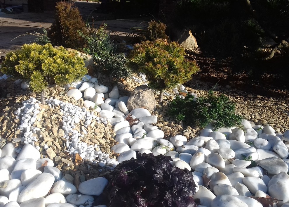 Дизайн клумбы с бонсаем. Фрагмент