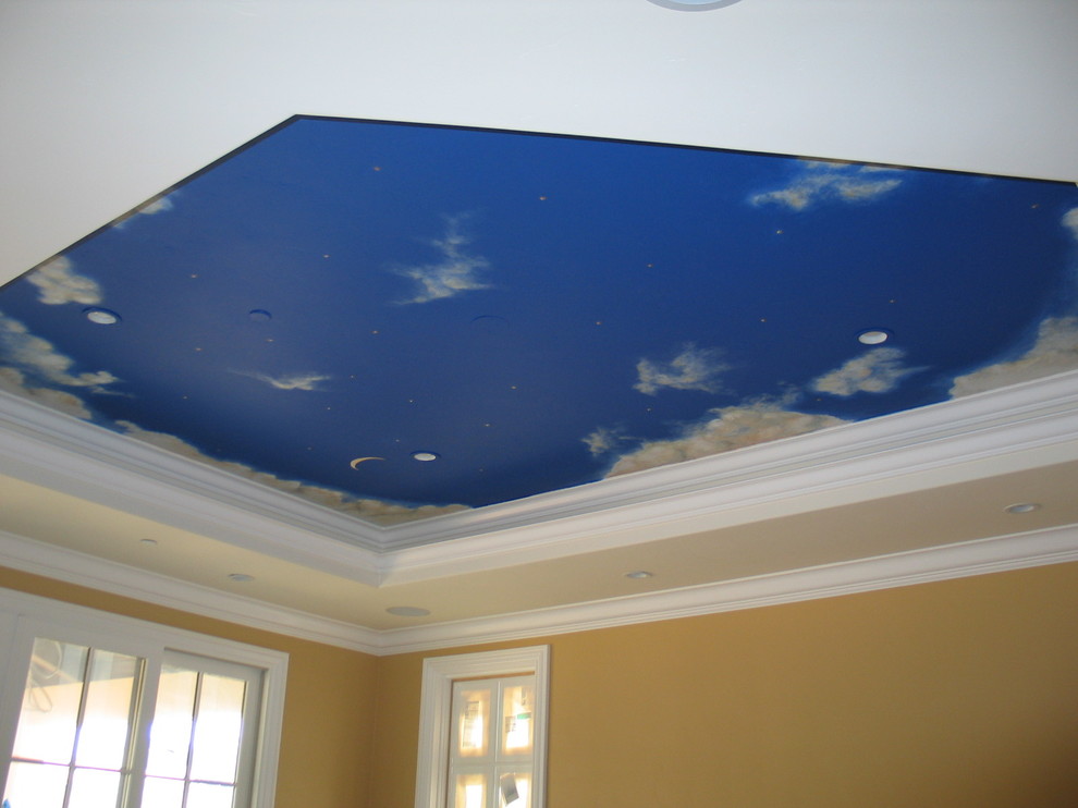 Ceiling Murals Night Sky Shelly Lighting