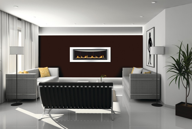 Napoleon Lhd50 Contemporary Living Room Omaha By Fireplace