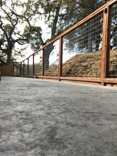 Ground level view of a dog run with a cement floor and a wooden and mesh fence