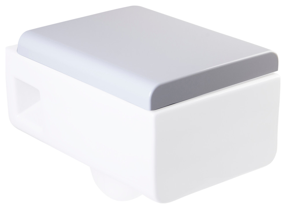 EAGO R333SEAT Replacement Soft Closing Toilet Seat for WD333