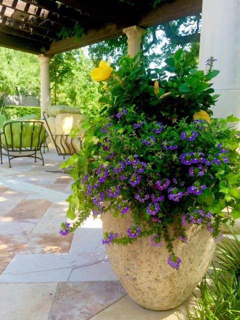 This is an example of a small mediterranean backyard verandah in Dallas with natural stone pavers, an awning and a container garden.