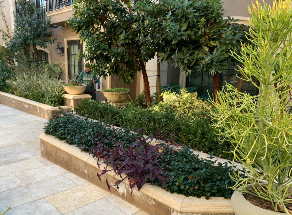 Immagine di un grande patio o portico in cortile con un giardino in vaso, pavimentazioni in pietra naturale e nessuna copertura