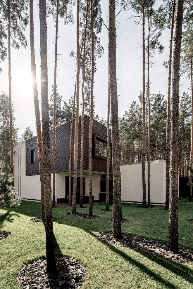 Residential Forest House in Ukraine - Live Minimalism