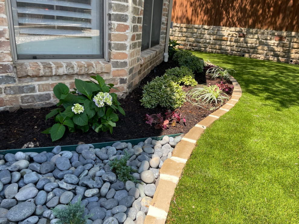 Back yard and pool landscape