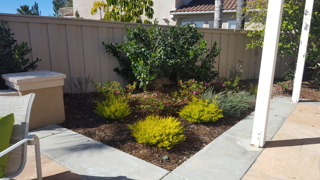 Weigel Lawn Replacement contemporary-garden