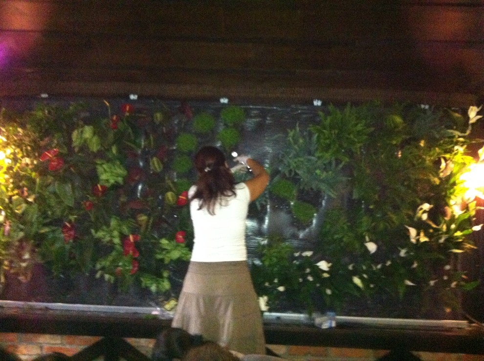 Вертикальные сады