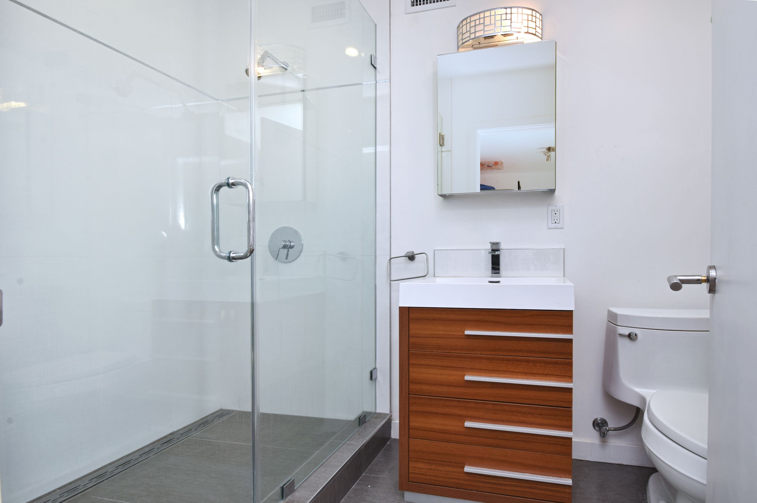 Encino Mid-century Modern