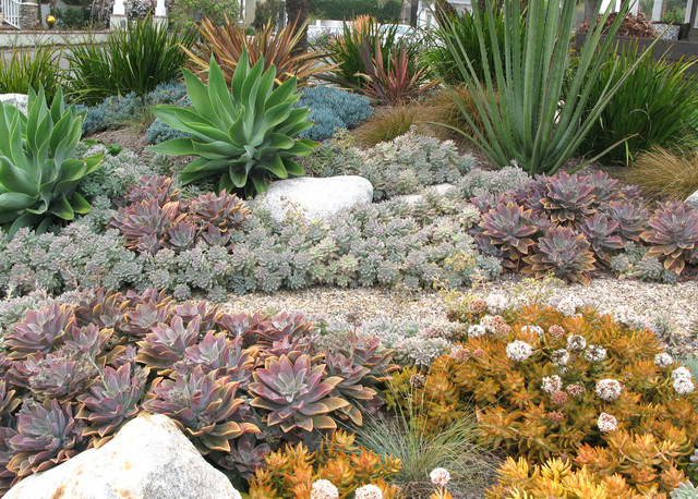 Seaside Colorful Succulent Garden - Contemporary - Landscape - San Diego -  by debora carl landscape design | Houzz