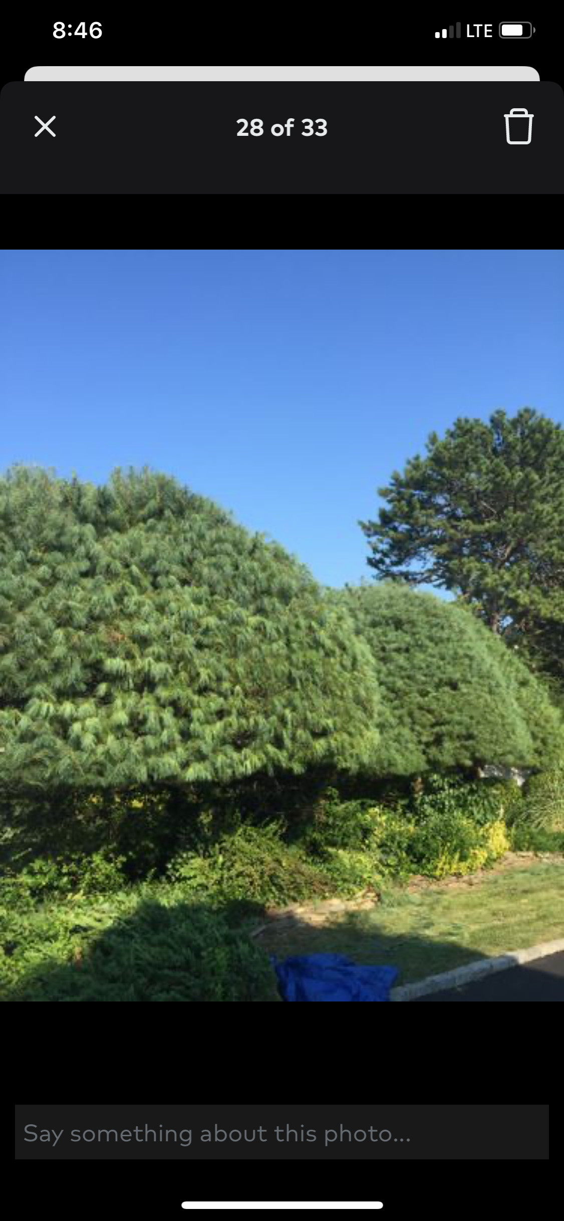 Landscaping projects