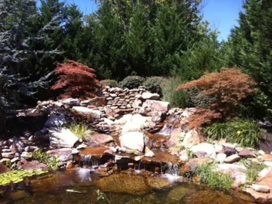 Inspiration for a mid-sized transitional full sun backyard landscaping for spring.