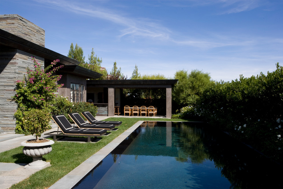Design ideas for a contemporary lap pool in Los Angeles.