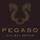 Pegaso Gallery Design