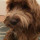 newhouse_ipad