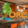 ORC Services, Inc