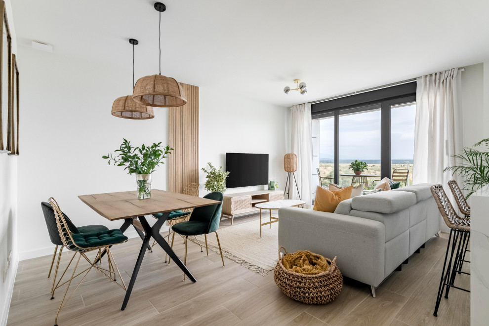 Living room - scandinavian living room idea in Madrid
