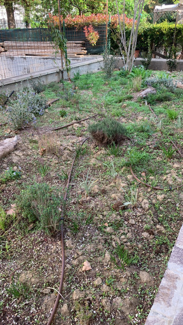 GIARDINO DELLE FARFALLE landhausstil-garten