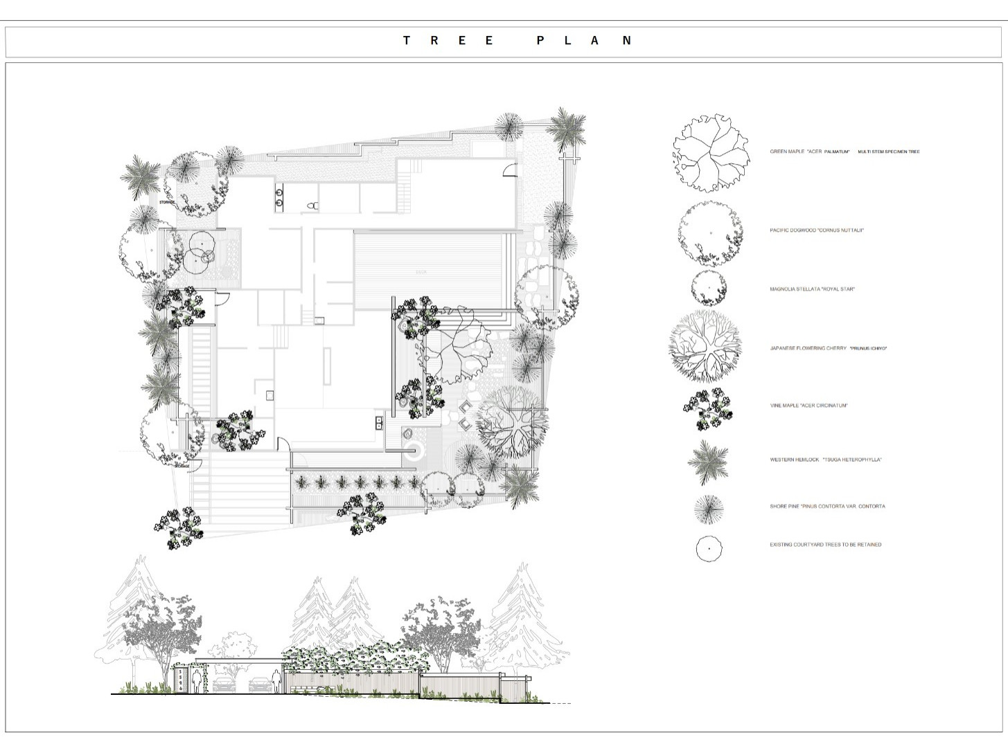 Projects In Development and Construction