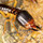 Bobbi Ray's Termite & Pest Control