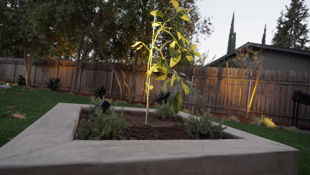 Front and Backyard Remodel Walkthrough with Eric