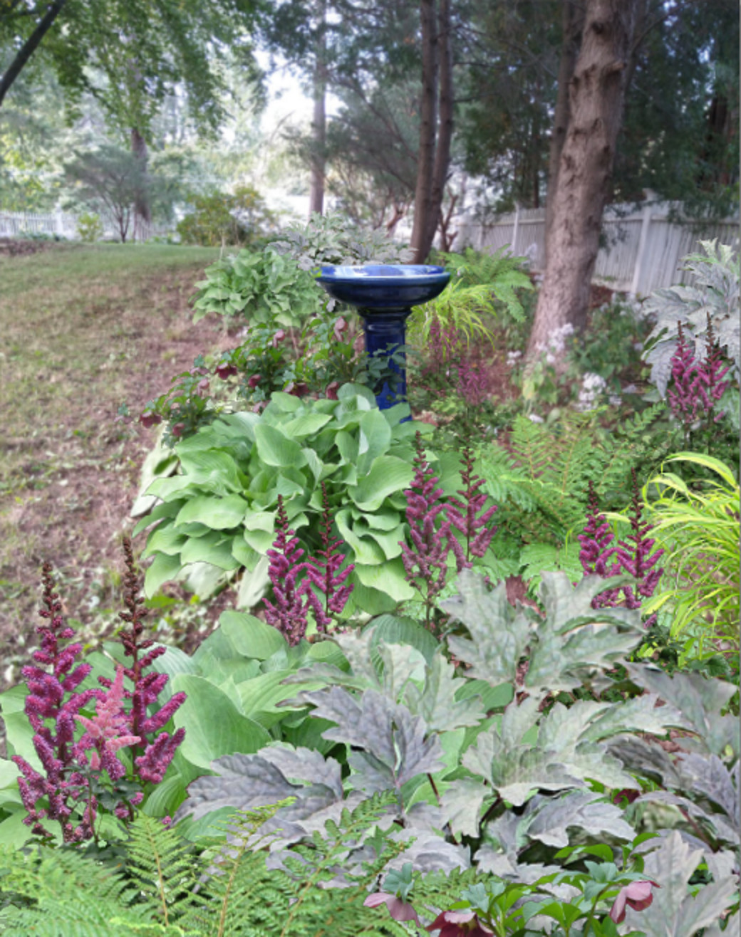 Cottage Gardens