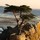 carrie_greenwald