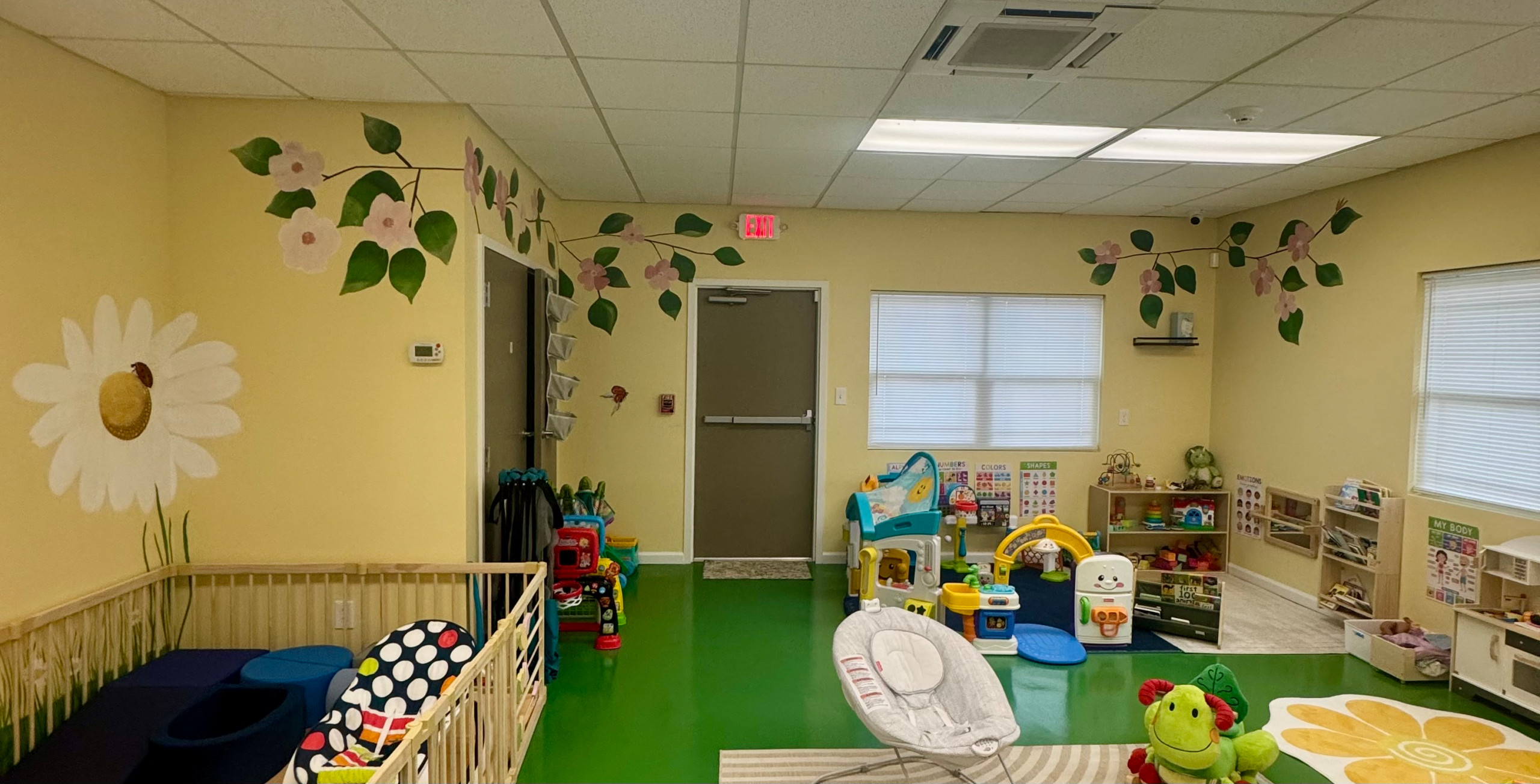 Murals and Decorative Painting