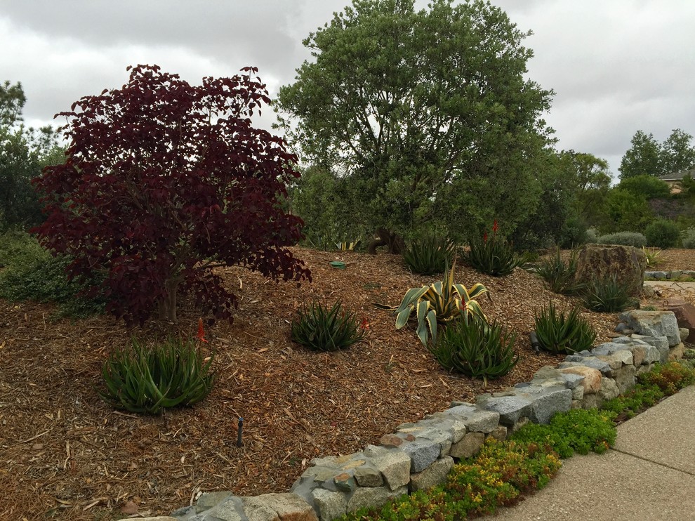 Inspiration for an expansive contemporary front yard full sun driveway in San Diego with a retaining wall and mulch.